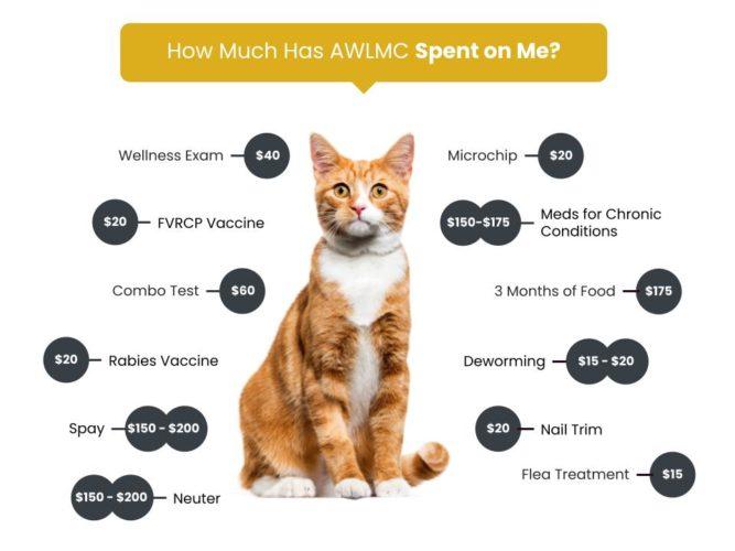 Adoption Fees Animal Welfare League of Montgomery County