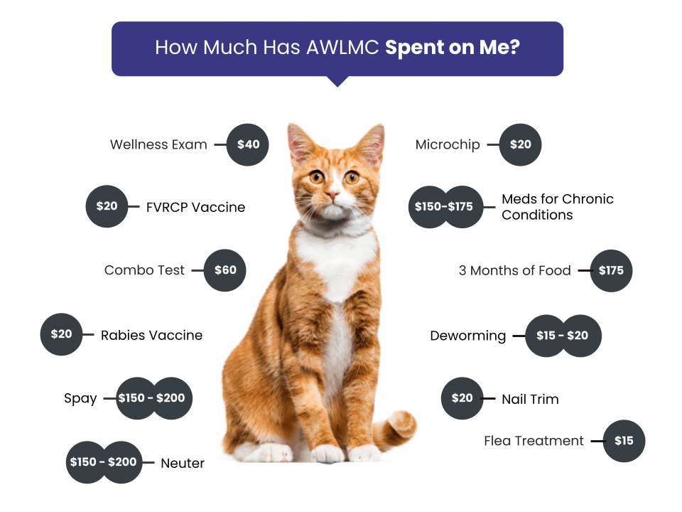 AWLMC Fee Graphic-Cats