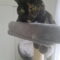 Prudence (Prudy)