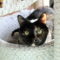 Prudence (Prudy)