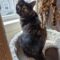 Prudence (Prudy)