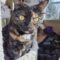 Prudence (Prudy)