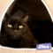 Dipper