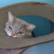 Gunther