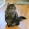 Gaddy (Gigi)