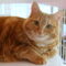 Bootsie