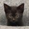 Binx